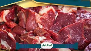 المواطن نيوز - Almowaten News - News update
