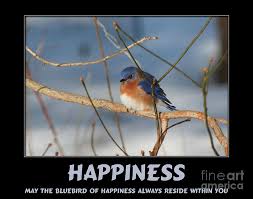 Hand picked ten famed quotes about bluebirds pic English ... via Relatably.com