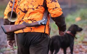 Lozère : un promeneur de 65 ans tué par un chasseur lors d’une battue aux sangliers — Le Parisien