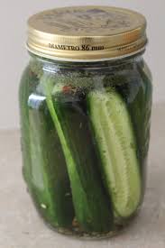Image result for pickle in your life