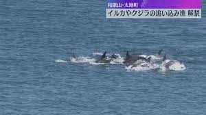 Yahoo!ニュース - News update