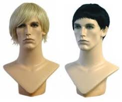 Image result for male wigs