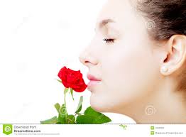 Your download plan was renewed. Congratulations and thank you for your business. Read more | Payment Profiles &middot; Beautiful girl face close up with a rose in ... - beautiful-girl-face-close-up-rose-hand-13429331