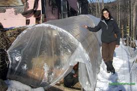 Image result for site:sugarmtnfarm.com chicken hoop house