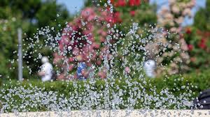 From Heat Dome to Hellscape: The Exact Moment America's Scorching Summer Breaks – And What Comes Next – Wetter Diese Woche