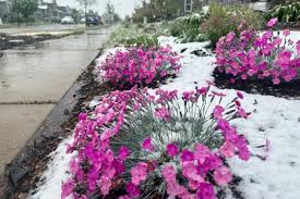 Winter to return to Colorado, Wyoming with more May mountain snow