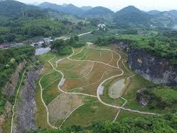 视频｜从“生态伤疤”到“绿色画卷” 重庆明月山29座废弃矿山生态蝶变