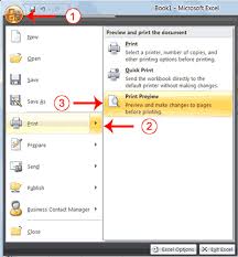 Image result for print preview screen without preview
