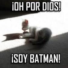 Resultado de imagen para chistes de gatos