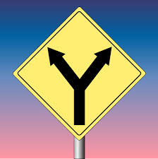 Image result for fork in the road