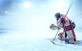 WILD Win Exhibition Opener