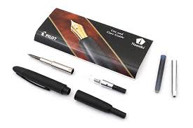Risultati immagini per pilot capless blu