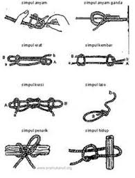Hasil gambar untuk PIONERING