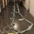 Bedsheet rope found in Nowra prison escape plot