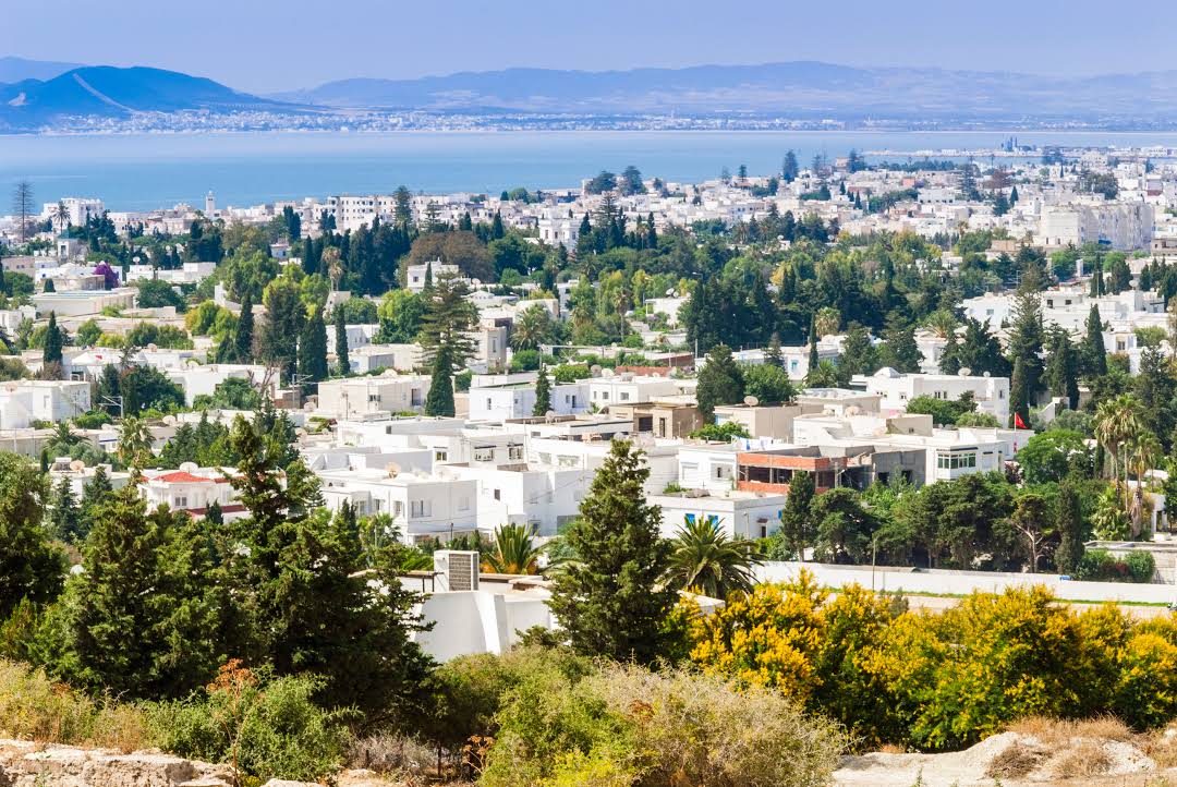 Find Cheap Flights from Fujairah to Tunis Google Flights