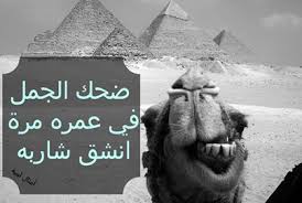 اضغط على الصورة لرؤيتها بالحجم الطبيعي