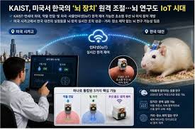 뇌