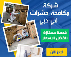 Image of تلف الممتلكات يسببه الحشرات