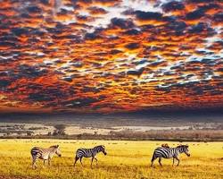 Serengeti National Park, Tanzania