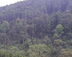 Hasil gambar untuk pecinta alam indonesia