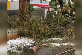 Chuva de granizo provoca alagamentos e deixa estragos em Boa Esperança (MG)