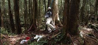 Resultado de imagem para a fLORESTA mALDITA