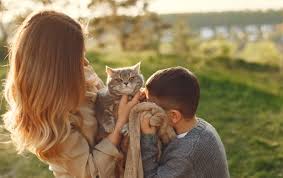 Gatos ya pesan en el presupuesto familiar: 19.2 millones de hogares en México tienen al menos uno