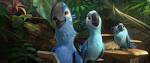 Rio 2 cast parrots beak plant <?=substr(md5('https://encrypted-tbn2.gstatic.com/images?q=tbn:ANd9GcS30us4uygXe-XbqXKlXcGEvbqDp10m1JXhzT-5dEk0zZ8YvIyi814_6rs'), 0, 7); ?>