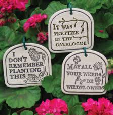 Funny Garden Sayings And Quotes. QuotesGram via Relatably.com