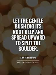 Let the gentle bush dig its root deep and spread upward to split... via Relatably.com