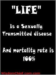 Sarcastic-Funny-Quotes-About-Life via Relatably.com