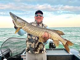 51 elite bass pros are competing on Lake Erie this weekend — here's what's at stake