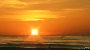 Resultado de imagen de amanecer