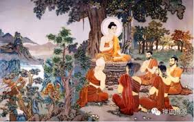 Image result for 欲知來世果，今生作者是；