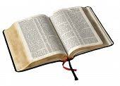 Image result for very small pictures of an open book the bible