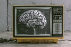 Heavy TV Watching Systematically Shrinks Your Brain