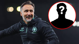 Molineux News - News update