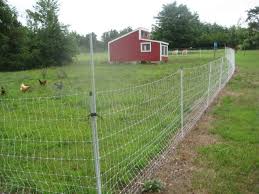 Image result for poultry fencing