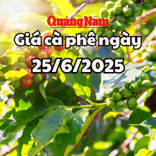 Vietnam.vn - News update