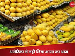वापस ले जाओ या… अमेरिका ने भारत के 15 आम से लदे शिपमेंट की नहीं दी एंट्री, आगे क्या होगा?