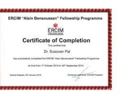 Image of Postdoctoral Fellowship certificate