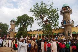 Image result for shiite sect nigeria