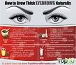 How to Strategically Grow Out Your Eyebrows - The Cut