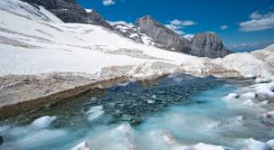 Trend Google: marmolada