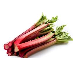 Image of fresh rhubarb