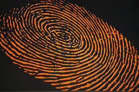 Image result for fingerprints + images