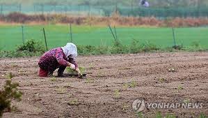 네이트 뉴스 - News update