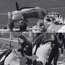 SAD NEWS: 15 minutes ago, after successfully proposing to his girlfriend. On the way home, Super Soccer Player Ronaldo suddenly had a serious acc!dent.