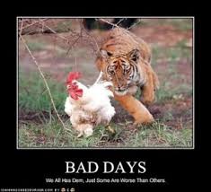 Funny Quotes About Bad Days. QuotesGram via Relatably.com