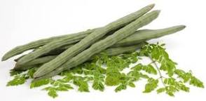 Image result for Moringa